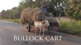 Village Bullock cart | The Ancient Vehicle | Incredible India