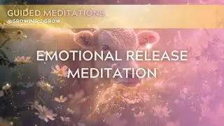 Guided Meditation for Emotional Release & Anxiety Relief | 20 minute Nervous System Calm