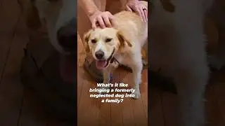 From Neglect To LOVE For Luna!
