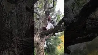 Macho Alfa / D&iacute;a del trabajador #trabajadores #d&iacute;adeltrabajador #machoalpha #machosalfa #shortvideo