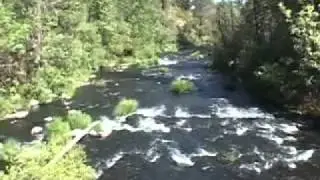 Burney Creek Above The Falls