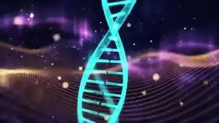 639Hz Heart Chakra Healing Frequency | Meditation Music for Balance, Emotional Peace & Relaxation