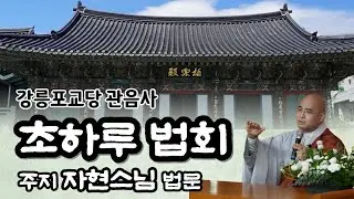음력 12월 초하루법회 / 주지 자현스님 법문  | 강릉 #관음사 #강릉포교당관음사