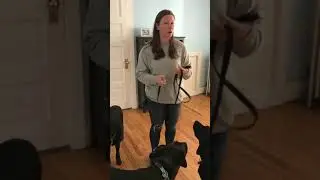 Leash Correction - How to