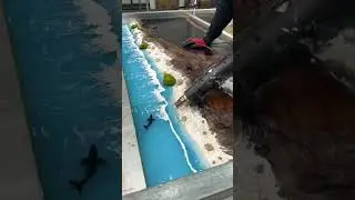 Efeito Mar em Mesa Resinada | Mesa de Resina Ep&oacute;xi (River Table) 🌊🏖
