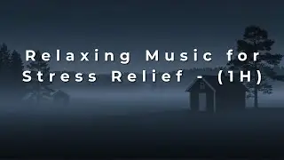Relaxing Music for Stress Relief   1H