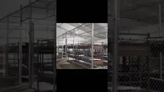 &iquest;Abusos en Alligator Alcatraz? #immigration #indocumentados #trump #florida #ice #deportations