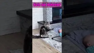 Cute behavior of cats😻❤️