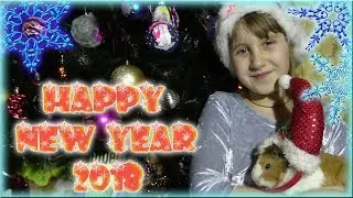 Новогоднее поздравление 2018 от Liza&Pushistiki
