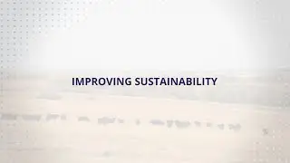 USLGE | Beef | Improving Sustainability with U.S. Beef Cattle Genetics (English Subtitles)