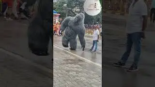 Panda 🐼 Gorilla 🦍 Teddy 🧸&mdash; all dancing in Mysuru Dasara! So cute & fun 🎉 #MysuruVibes #DasaraMoments
