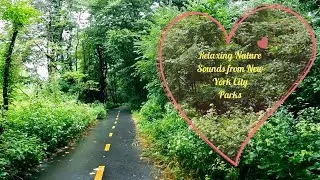Relaxing Nature Sounds from New York City Parks | Calm & Peaceful Walk 4k #newyorkcity #usa 