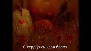 Любишь - и караулом