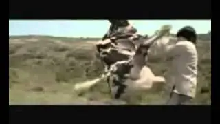 bgra