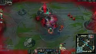 fiora 2