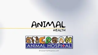 Animal Health (Snake Bites) - 11/13/25