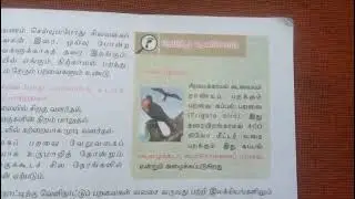 சிறகின் ஓசை 6ஆம் வகுப்பு தமிழ் tnpsc notes 