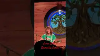 Jesse Welles, Domestic Error #jessewelles #livemusic #folksong #rockstar