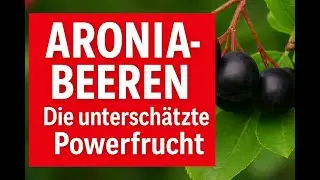 Aroniabeeren &ndash; Die untersch&auml;tzte Powerfrucht f&uuml;r bewusste Ern&auml;hrung