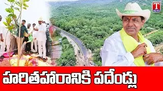 Special Story on 10 years Of KCR Haritha Haram Programme | Ex MP Santosh Kumar | T News