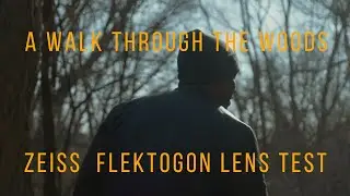 Zeiss Flektogon 35mm 2.8 / GH5 Test