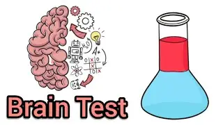 Brain Test Seviye 310
