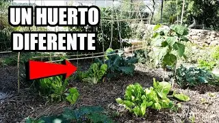 Conoce Un Huerto Diferente!! || Huerto Ecologico 🌱
