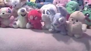 My Neopet Collection