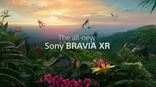Sony &mdash; новый телевизор BRAVIA XR