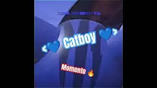 💙 Catboy 💙 - Momento 🔥 / #music #love #catboy #fanfic  #capcutpro #momento🔥 .