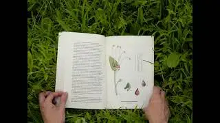 Systema Natur&aelig;, book by Catarina Leit&atilde;o and Jos&eacute; Roseira