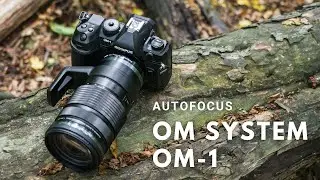 OM System OM-1 - Autofocus (wszystko co musisz wiedzieć)