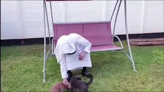 😍😍 Update on the Kittens! 🤣🤣 - Mufti Menk