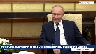 Putin Urges Slovak PM to Halt Gas and Electricity Supplies to Ukraine