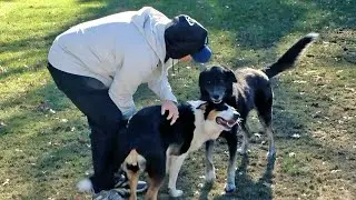 Northwoods Experience: City of Baxter Welcomes Brand-New Dog Park | Lakeland News