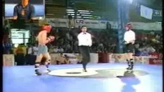 Sanda el combate inteligente Vol.1
