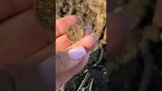 COINS ON THE SCYTHIANS AGAIN #archaeology #dig #history #Scythians #arrowheads #naki #metal detec...
