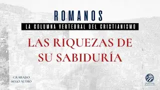 Chuy Olivares - Las riquezas de su sabiduría