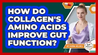 How Do Collagen's Amino Acids Improve Gut Function? - Gut Wellness Central