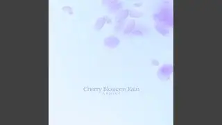 Cherry blossom rain