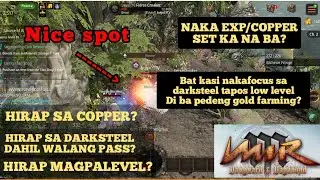 MIR M - SOLID SPOT + GOLD FARMING + DAGDAG KAALAMAN