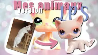 Mes animaux VERSION PETSHOP