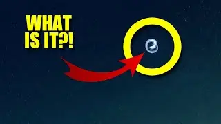 Eelpout Facts: an EEL-LIKE Fish | Animal Fact Files