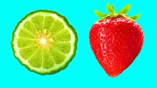 과일, 채소 및 버섯 내부의 숨겨진 패턴 스톱 모션. Hidden Patterns Inside Fruits, Vegetables stop-motion 55