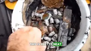 Blast From The Past: Massive Treasure Haul