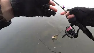 Одна из лучших рыбалок сезона!!!!!!