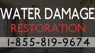 Water Damage Restoration St Petersburg FL |  Best Local Water Damage Restoration Services