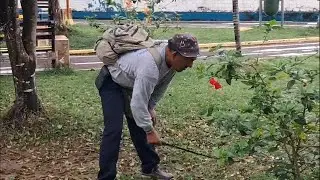 Trabajadores de parques y jardines anuncian paralización por falta de pago