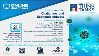 Webinar: &ldquo;Coronavirus: Challenges and Economic Impacts&rdquo;