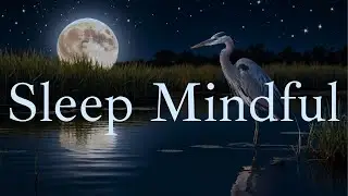 Drift Into Deep Sleep | Beat Insomnia and overcome Negative Thinking
